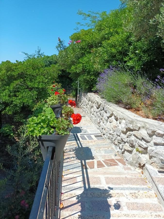 Sea & Honey Daire Krk Town Dış mekan fotoğraf